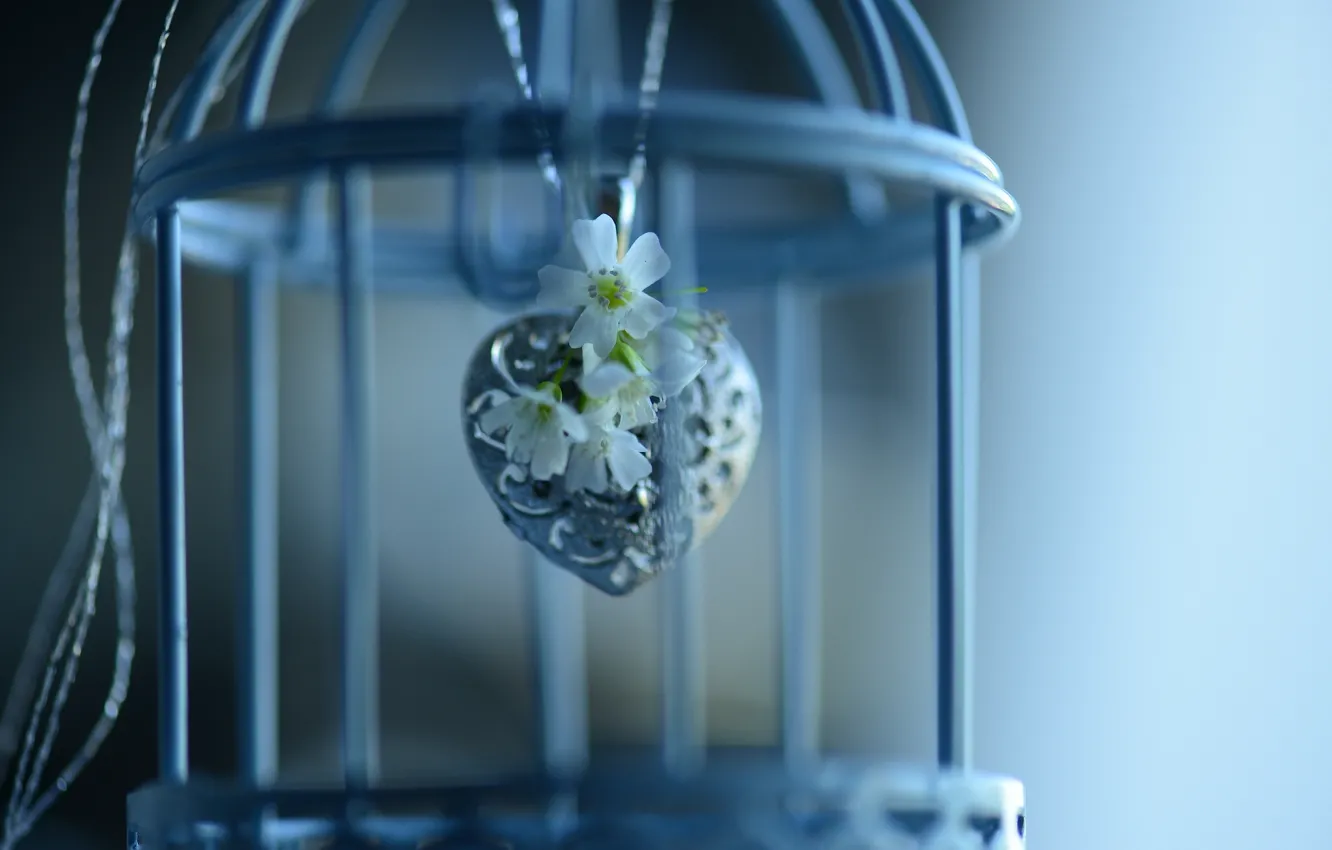 Photo wallpaper flowers, cell, pendant, heart