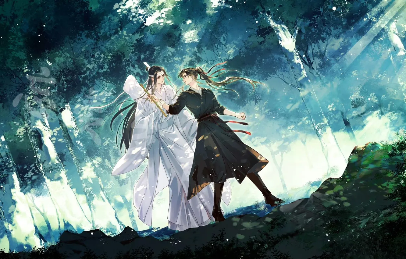 Photo wallpaper the conversation, caster, Mo Dao Zu Shi, Lan Wangji, Wei Wuxian
