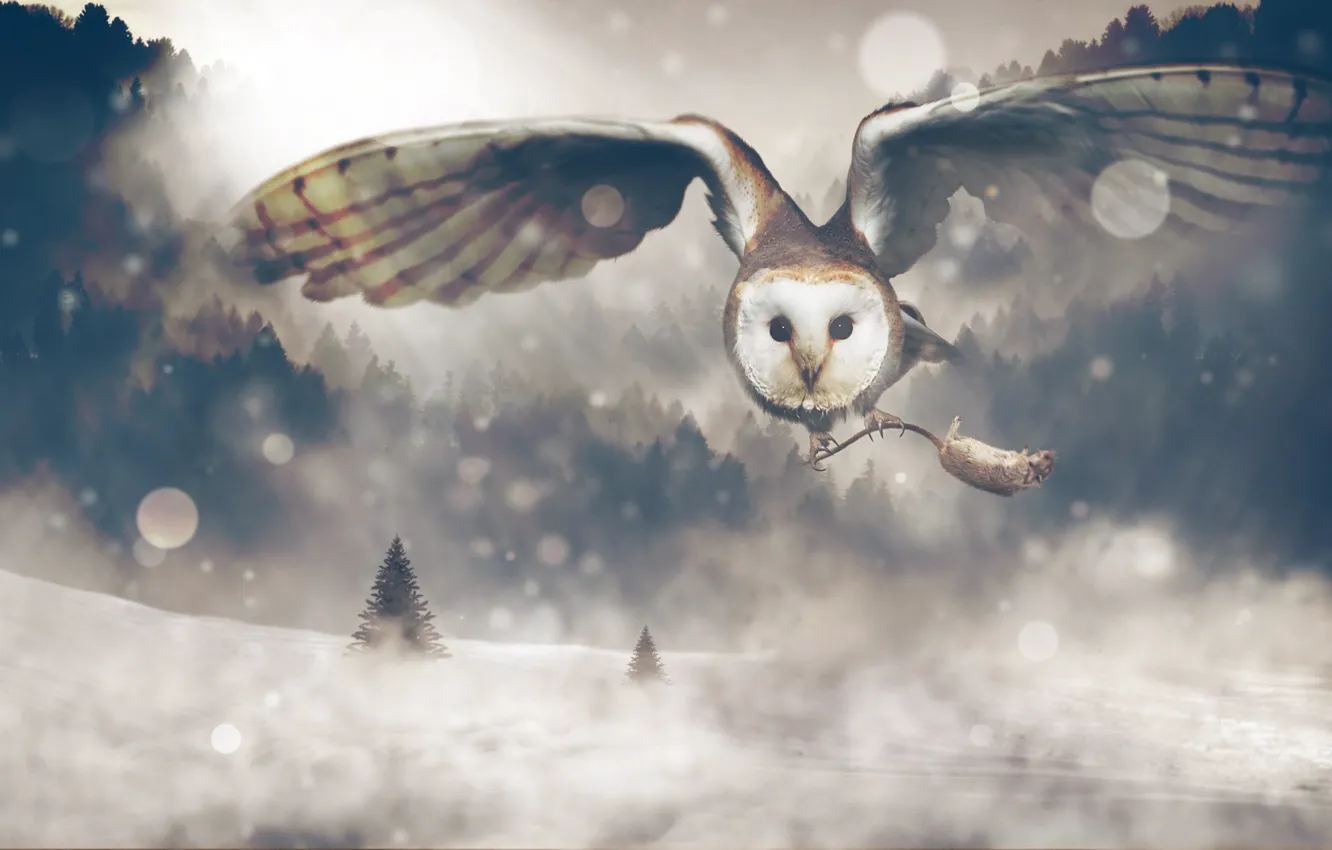 Photo wallpaper winter, forest, look, snow, flight, nature, rendering, owl