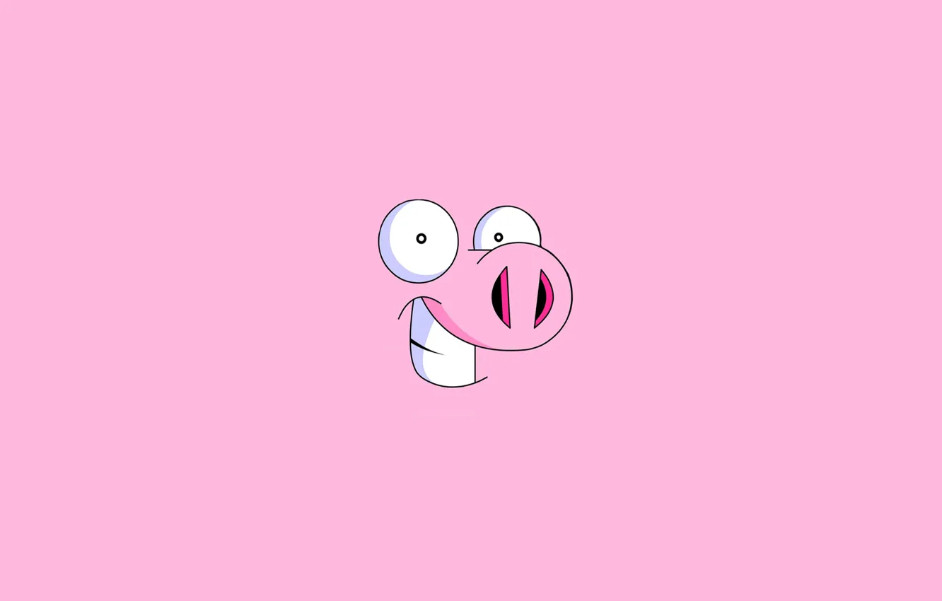 Photo wallpaper smile, animal, minimalism, pig, funny, pig