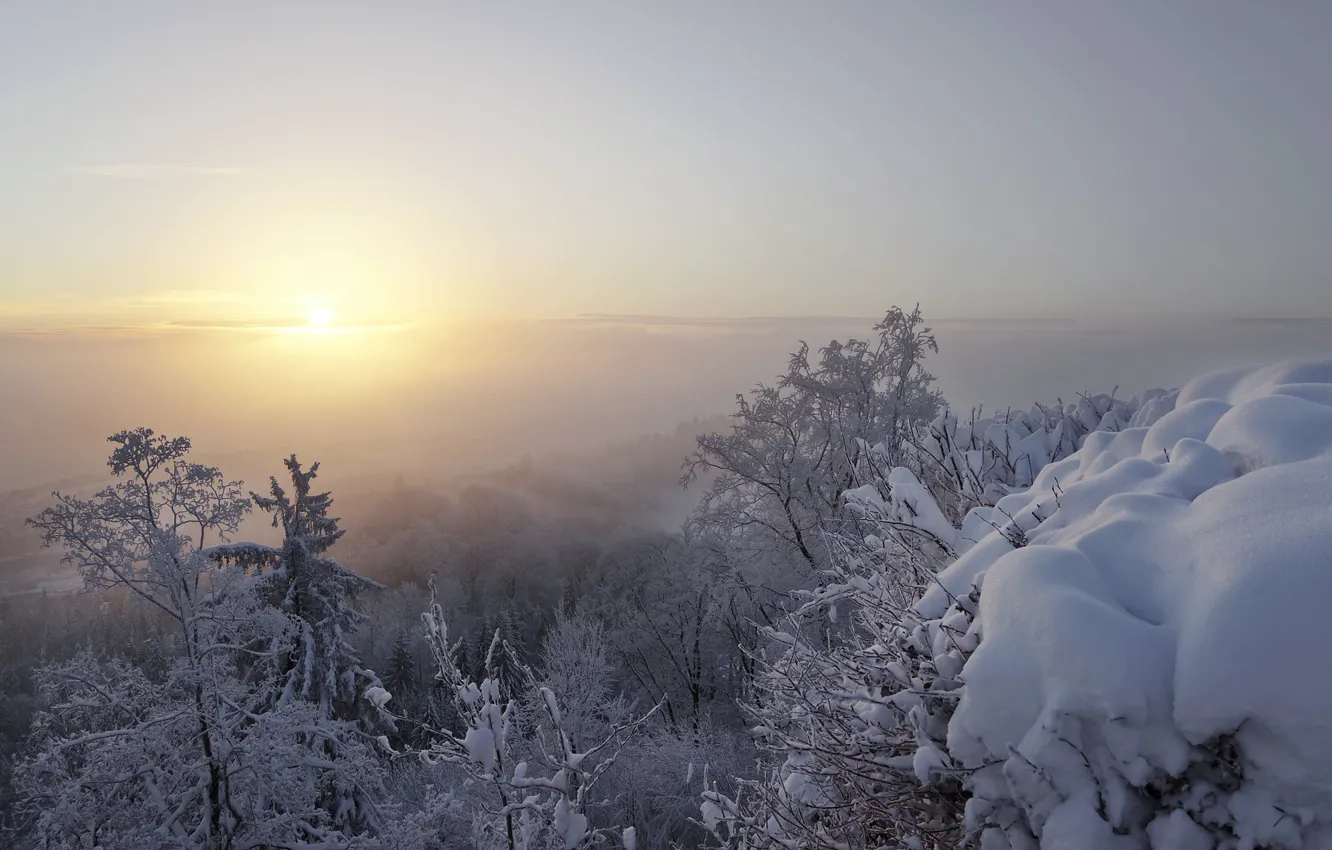 Photo wallpaper winter, snow, fog, morning