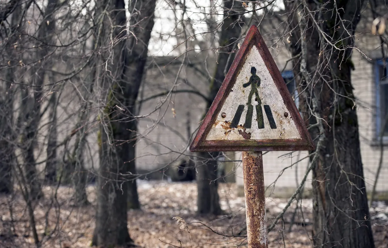 Photo wallpaper the city, sign, street