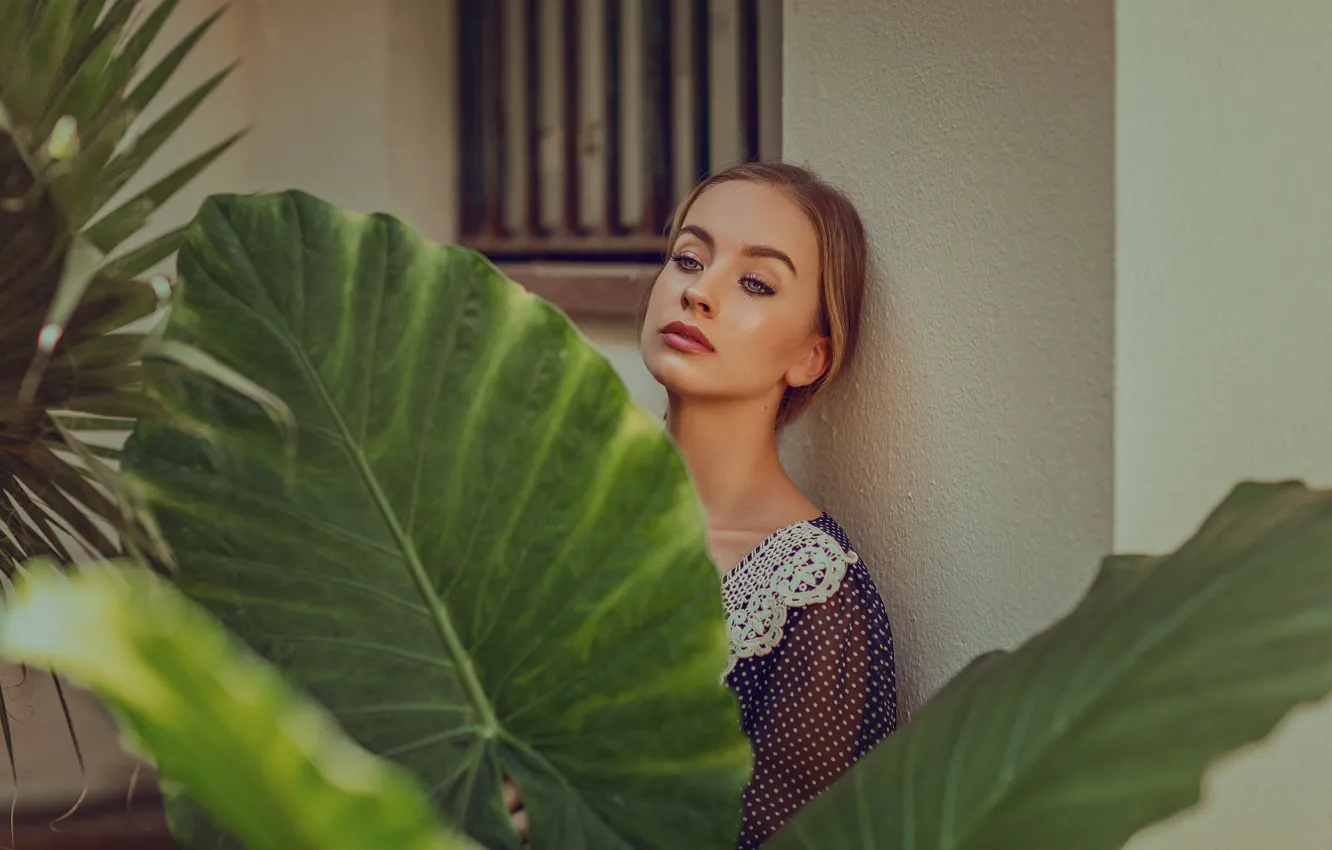 Photo wallpaper leaves, girl, reverie, mood