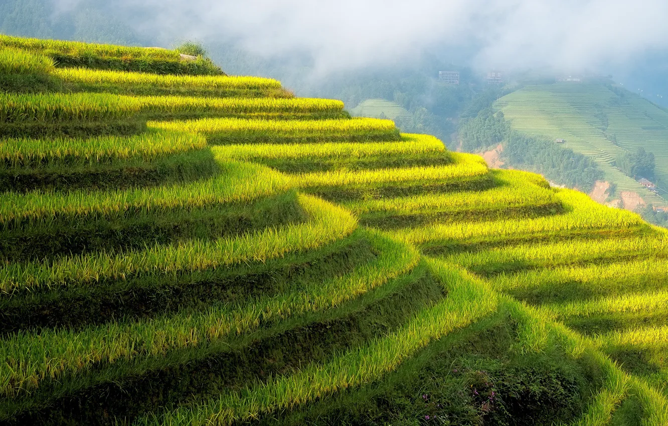Photo wallpaper mountains, slope, China, terrace, Guilin