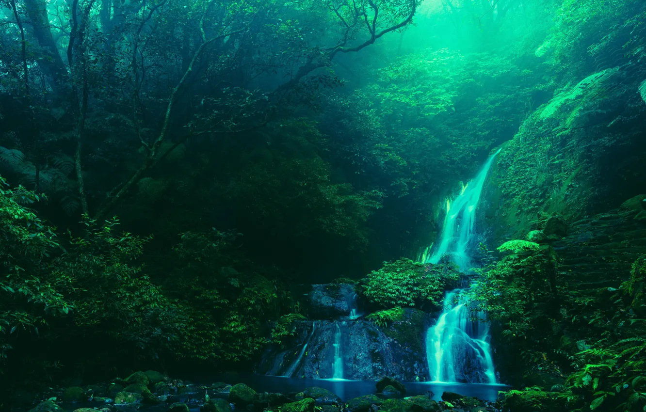 Photo wallpaper water, trees, nature, stream, stones, waterfall, Taiwan, steps