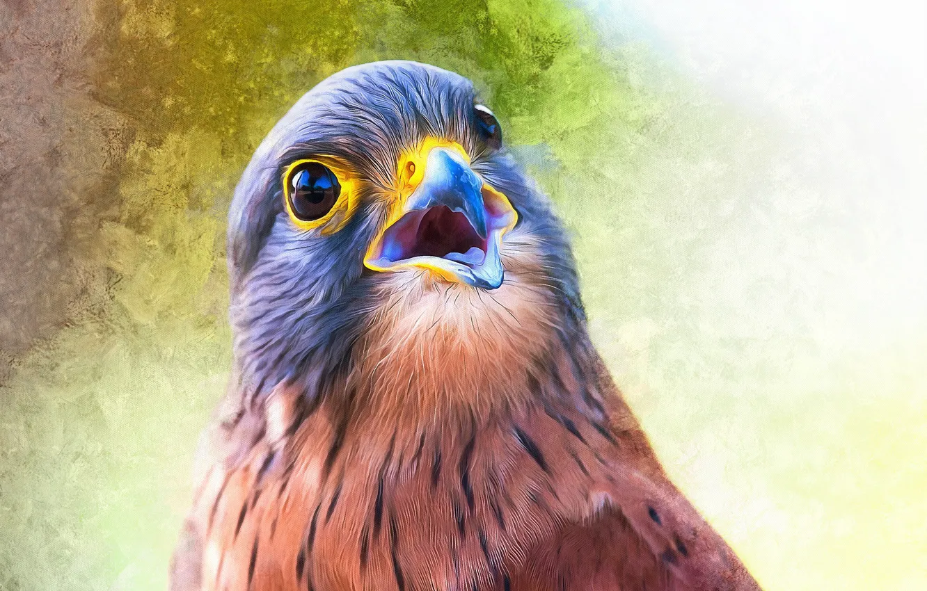 Photo wallpaper bird, paint, photoshop, painting