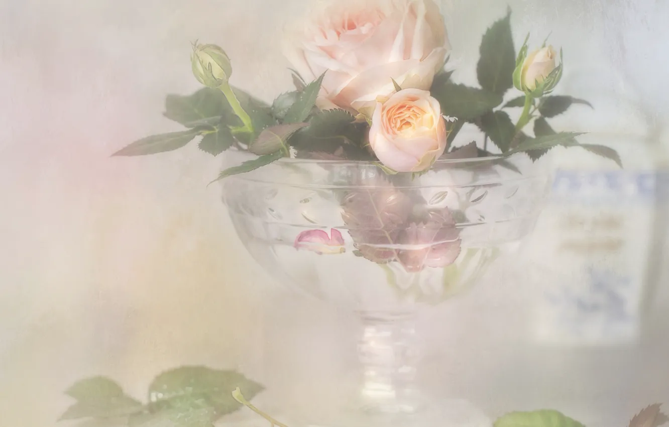 Photo wallpaper style, tenderness, rose, Bud, vase