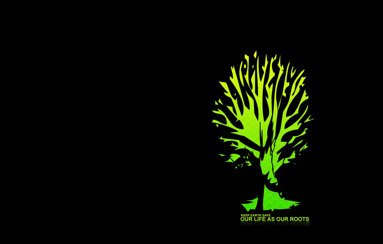 Photo wallpaper trees, background, the inscription