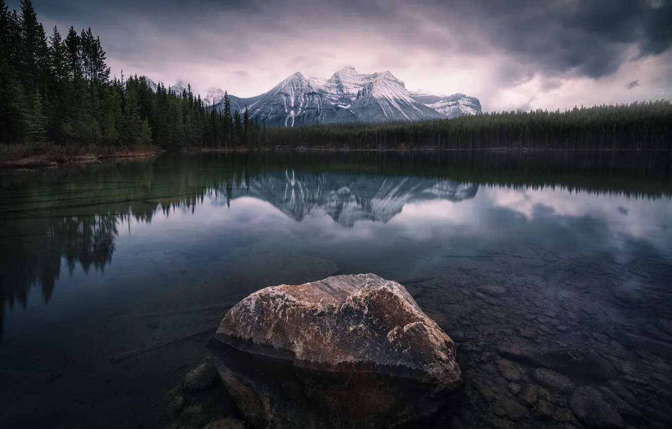 Photo wallpaper forest, the sky, mountains, clouds, lake, stones