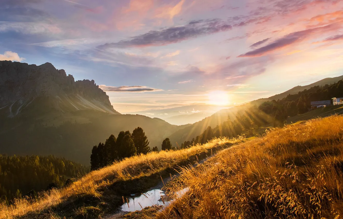 Photo wallpaper field, autumn, forest, grass, the sun, clouds, rays, light