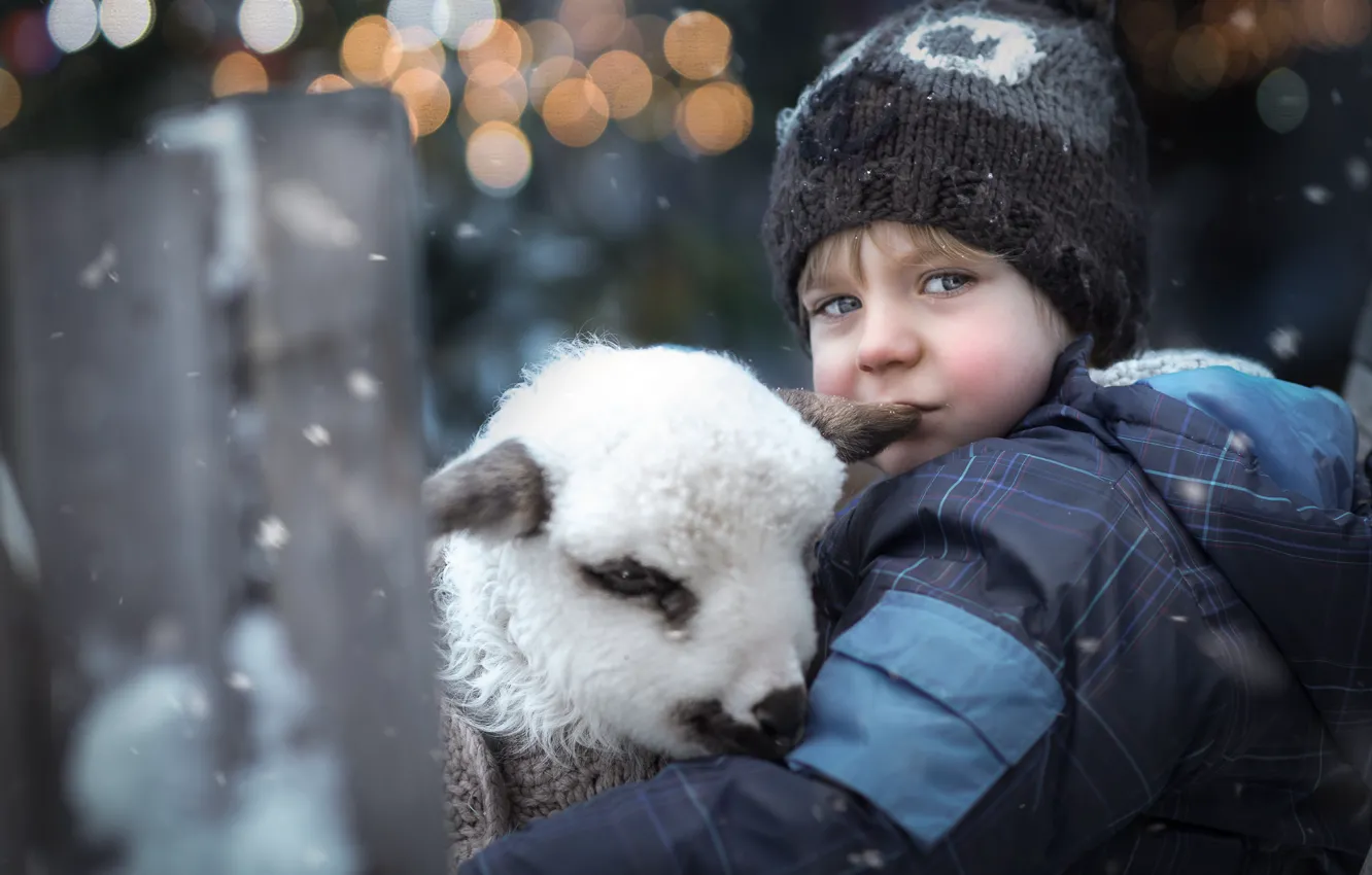 Photo wallpaper winter, children, animal, boy, bokeh, lamb