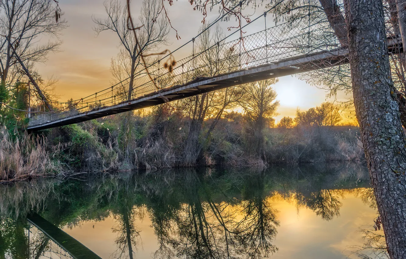 Photo wallpaper trees, bridge, river