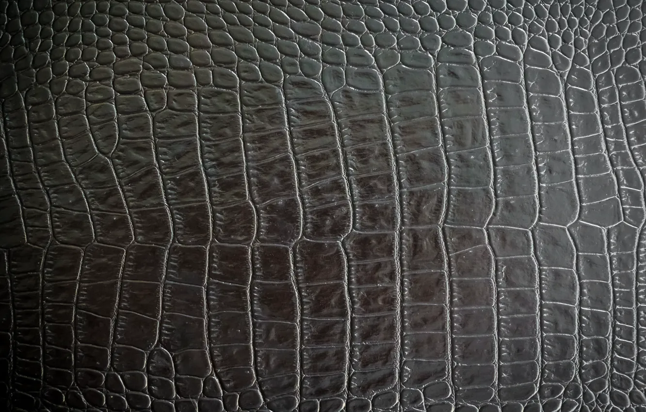 Photo wallpaper black, leather, Texture