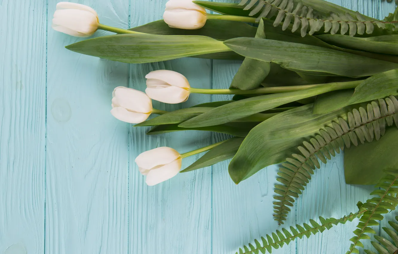 Photo wallpaper flowers, tulips, white, white, wood, flowers, beautiful, tulips