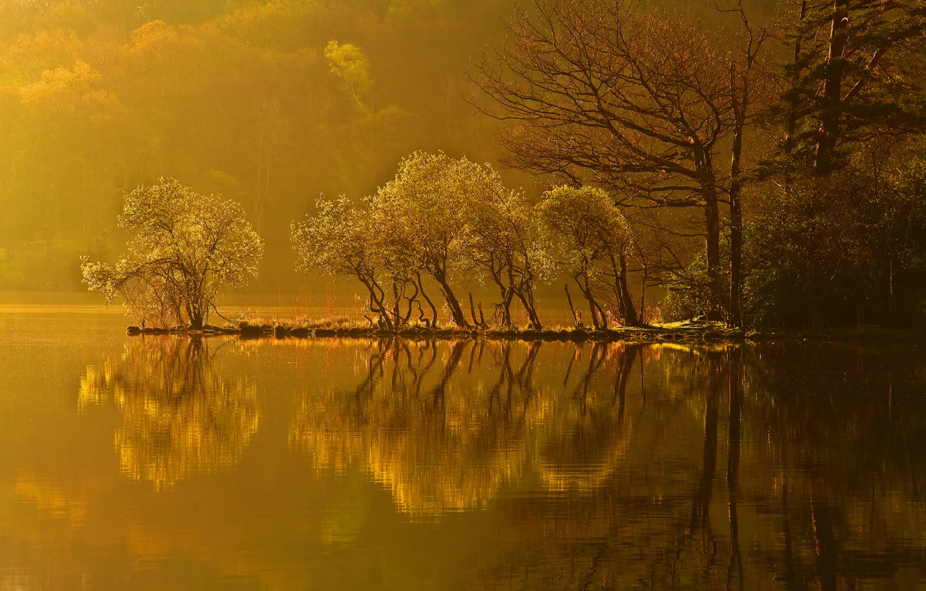 Photo wallpaper autumn, forest, trees, sunset, lake, reflection, island