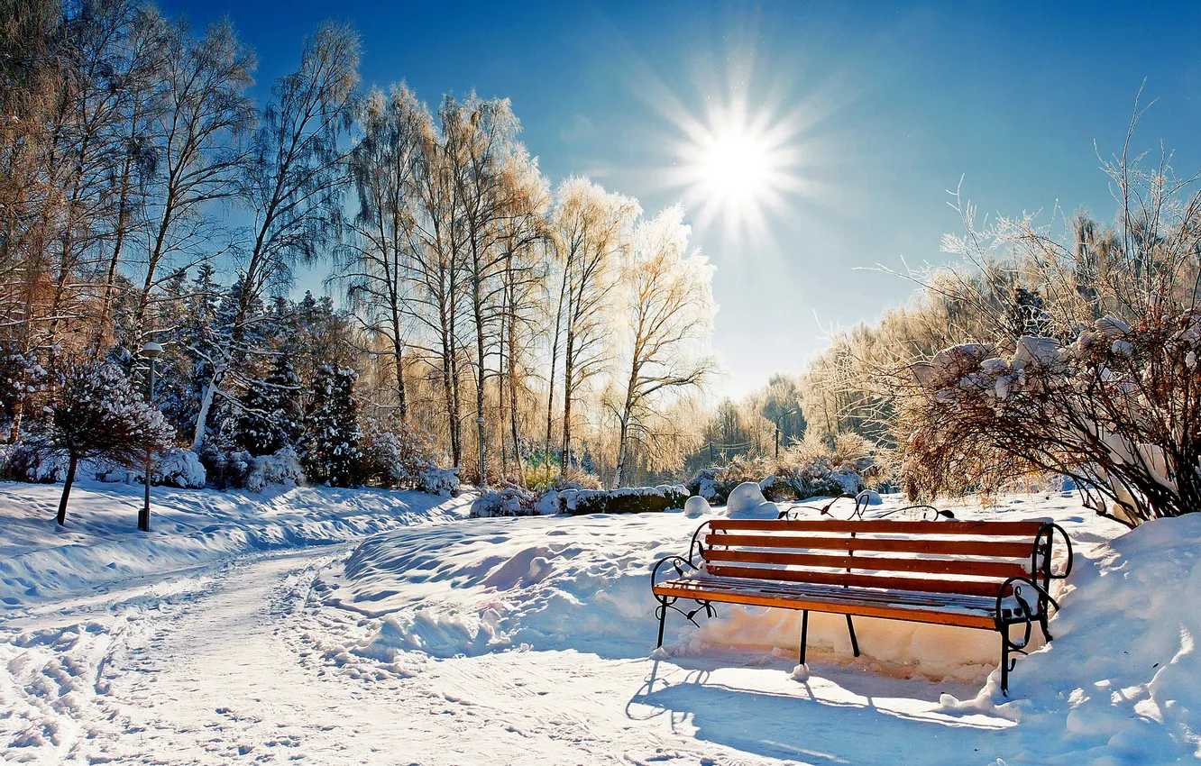 Photo wallpaper winter, the sky, the sun, snow, trees, landscape, bench, nature