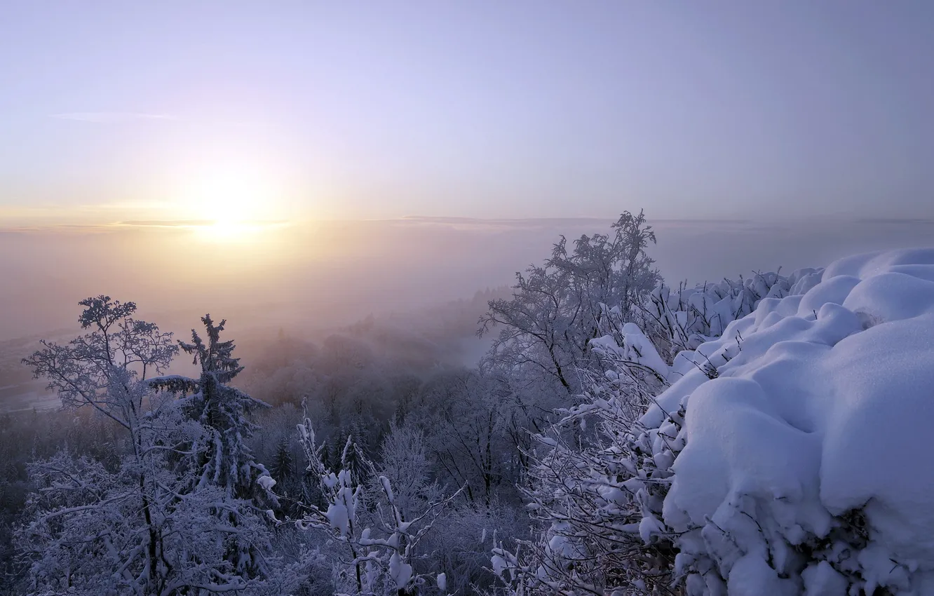 Photo wallpaper snow, fog, morning