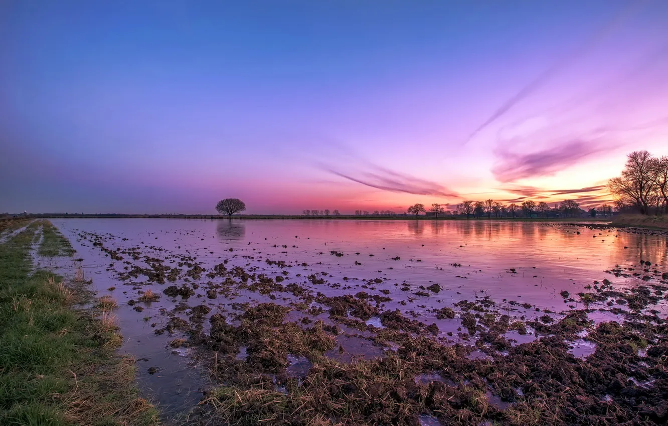 Photo wallpaper field, landscape, sunset