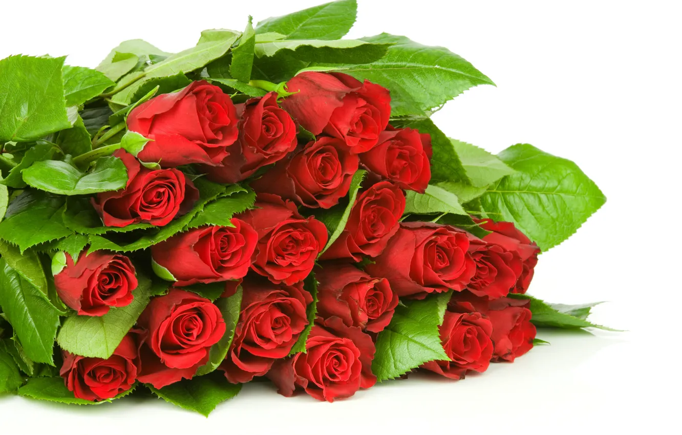 Photo wallpaper leaves, flowers, bouquet, buds, flowers, leaves, bouquet, red roses