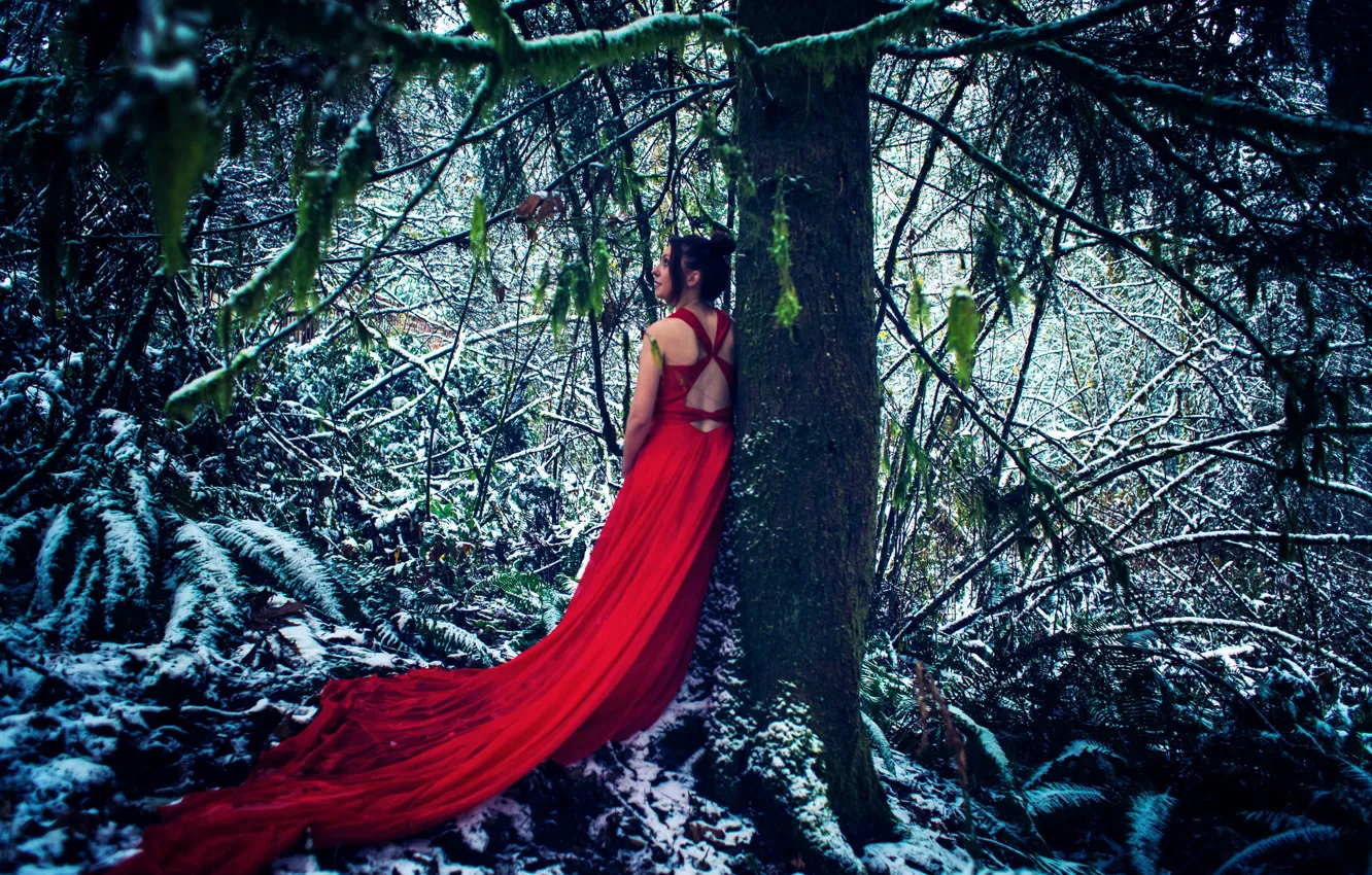 Photo wallpaper forest, girl, snow, trees, red dress