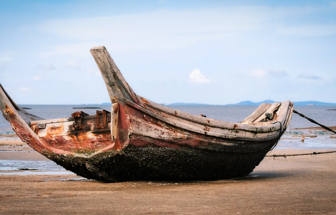 Photo wallpaper sea, landscape, wooden, Ebb, Attachments
