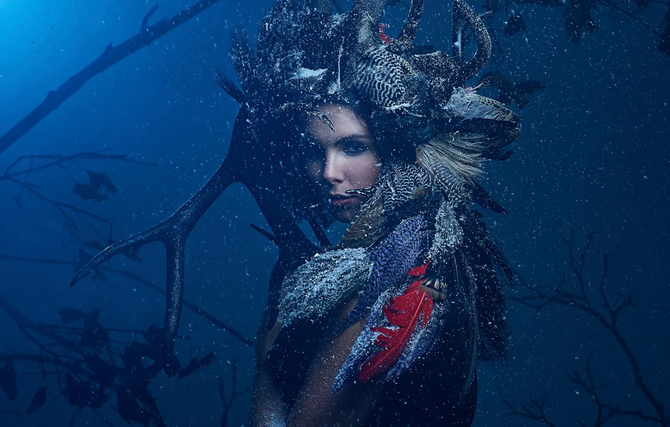 Photo wallpaper snow, portrait, fairytale, heaadpieces, posh