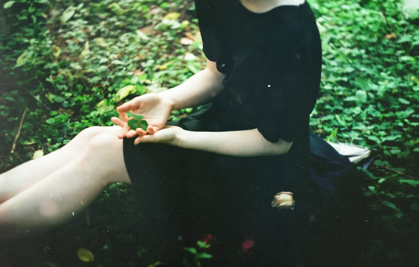 Photo wallpaper girl, clover, black dress, TanjaMoss