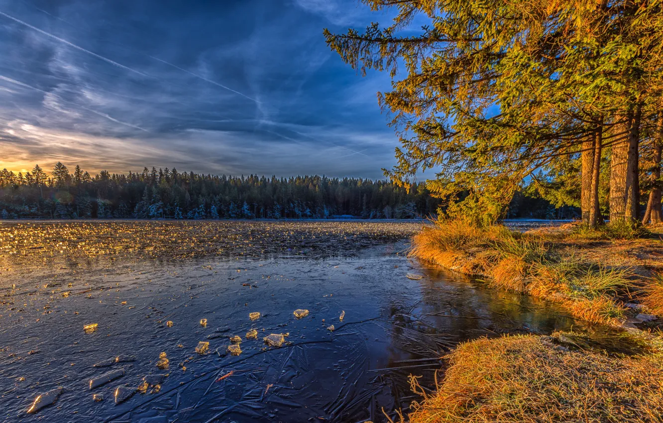 Photo wallpaper ice, autumn, clouds, light, trees, branches, lake, pond