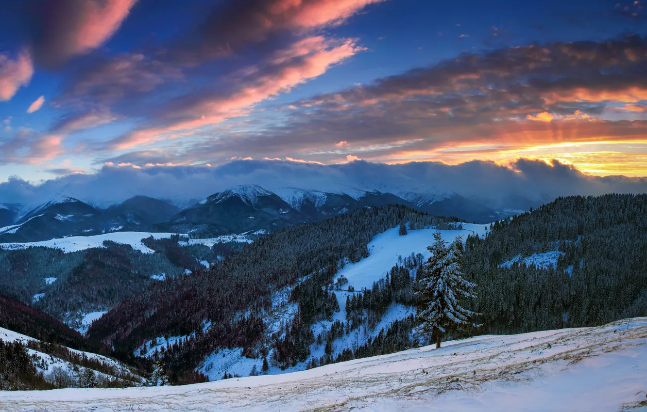 Photo wallpaper winter, forest, the sky, clouds, snow, trees, sunset, mountains