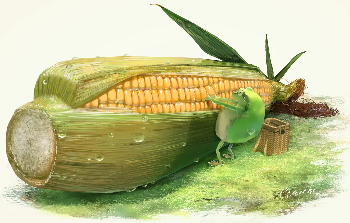 Photo wallpaper frog, corn, the cob