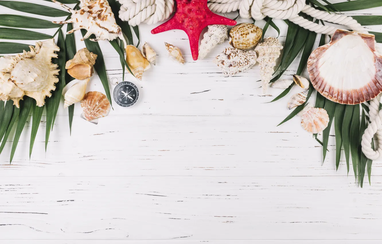 Wallpaper rope, shell, starfish, compass, sea for mobile and desktop ...