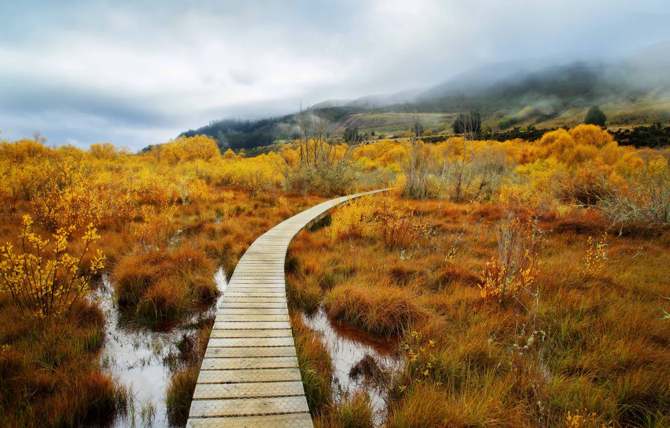 Photo wallpaper clouds, New Zealand, Queenstown, path