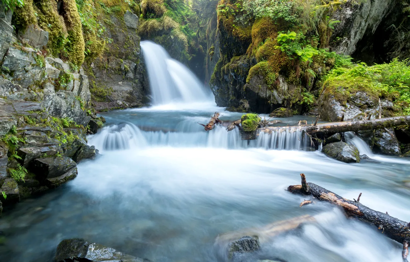 Photo wallpaper stones, waterfall, moss, Alaska, USA, Alaska, snag, Virgin Falls