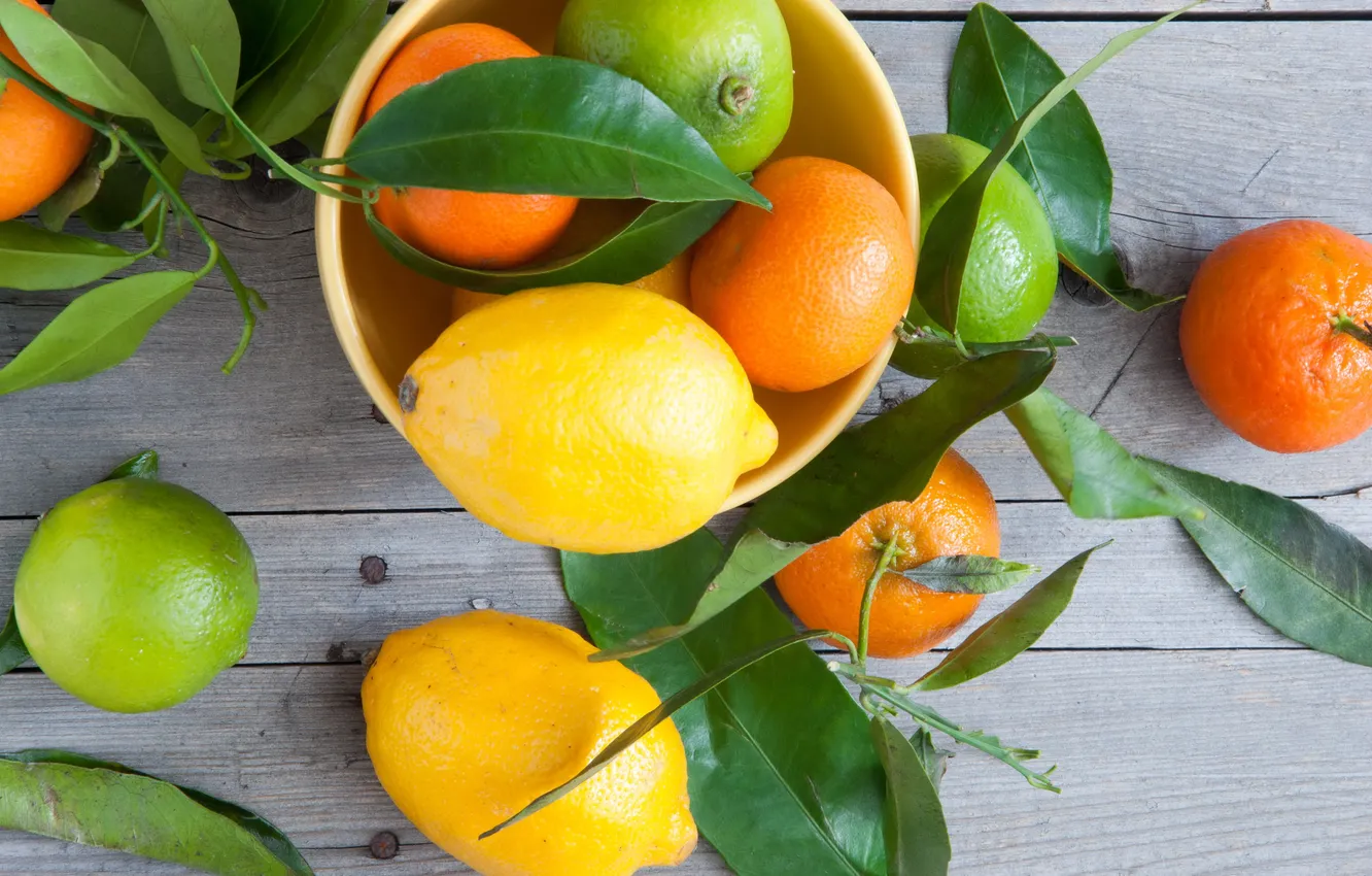 Photo wallpaper leaves, lemon, lime, citrus, tangerines