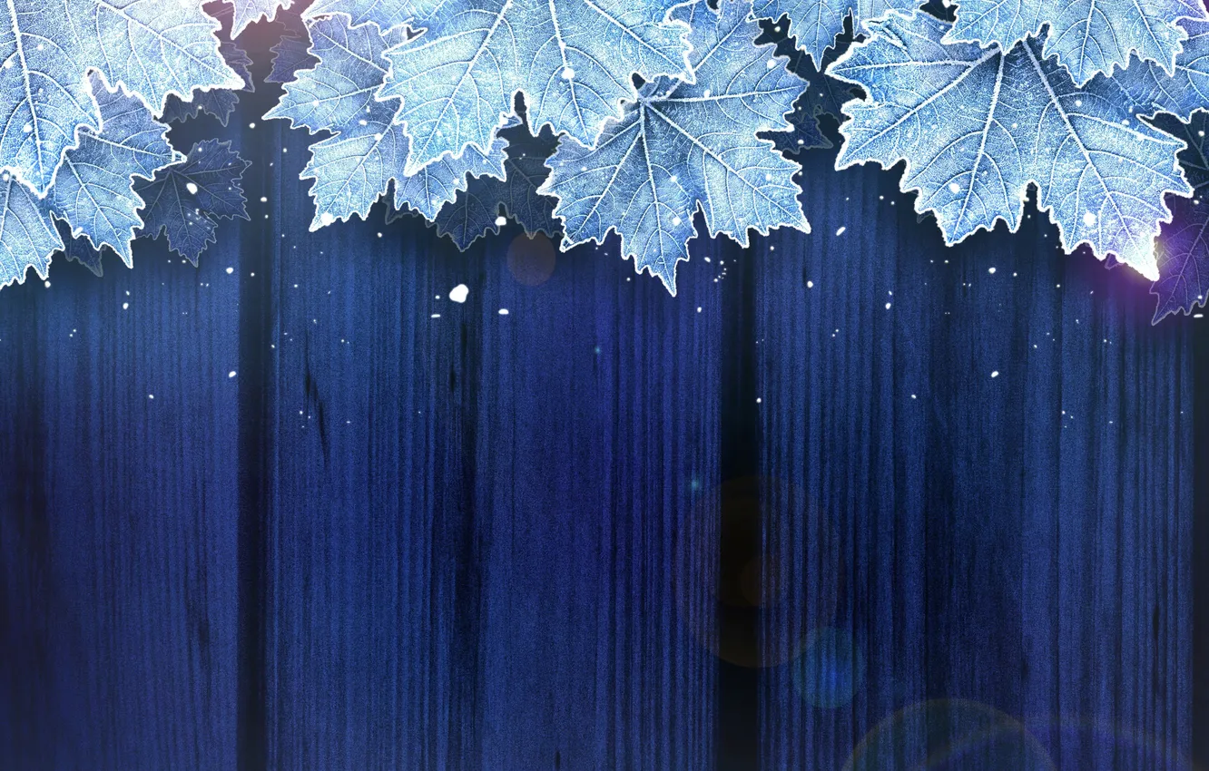 Photo wallpaper frost, leaves, snow