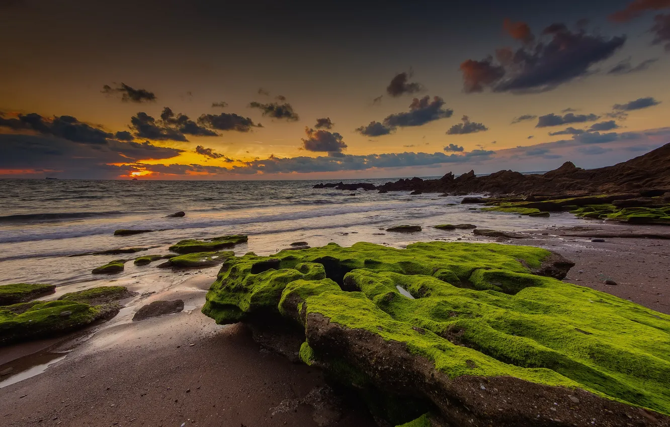 Photo wallpaper sea, sunset, shore