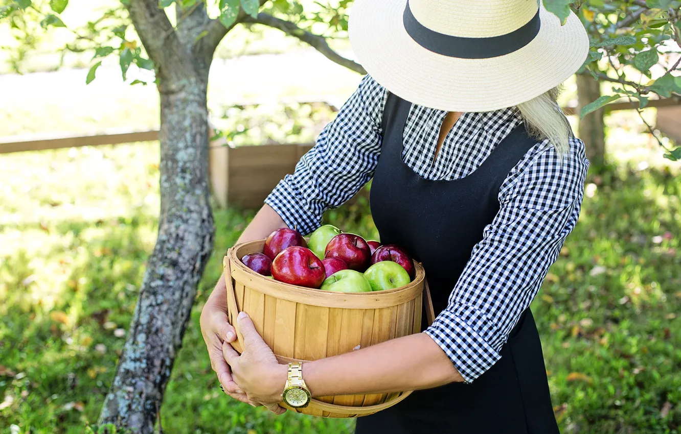 Photo wallpaper girl, apples, hat