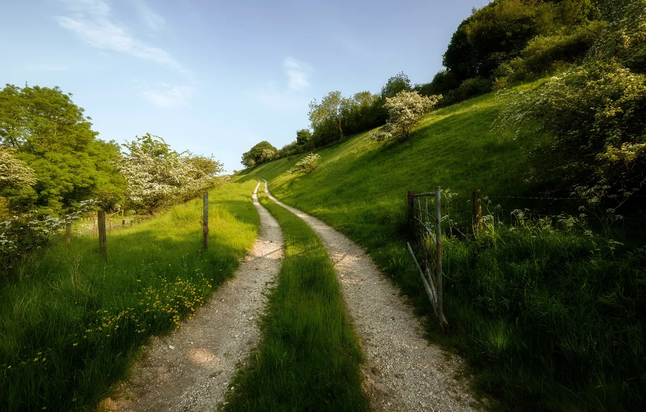 Photo wallpaper road, summer, gate