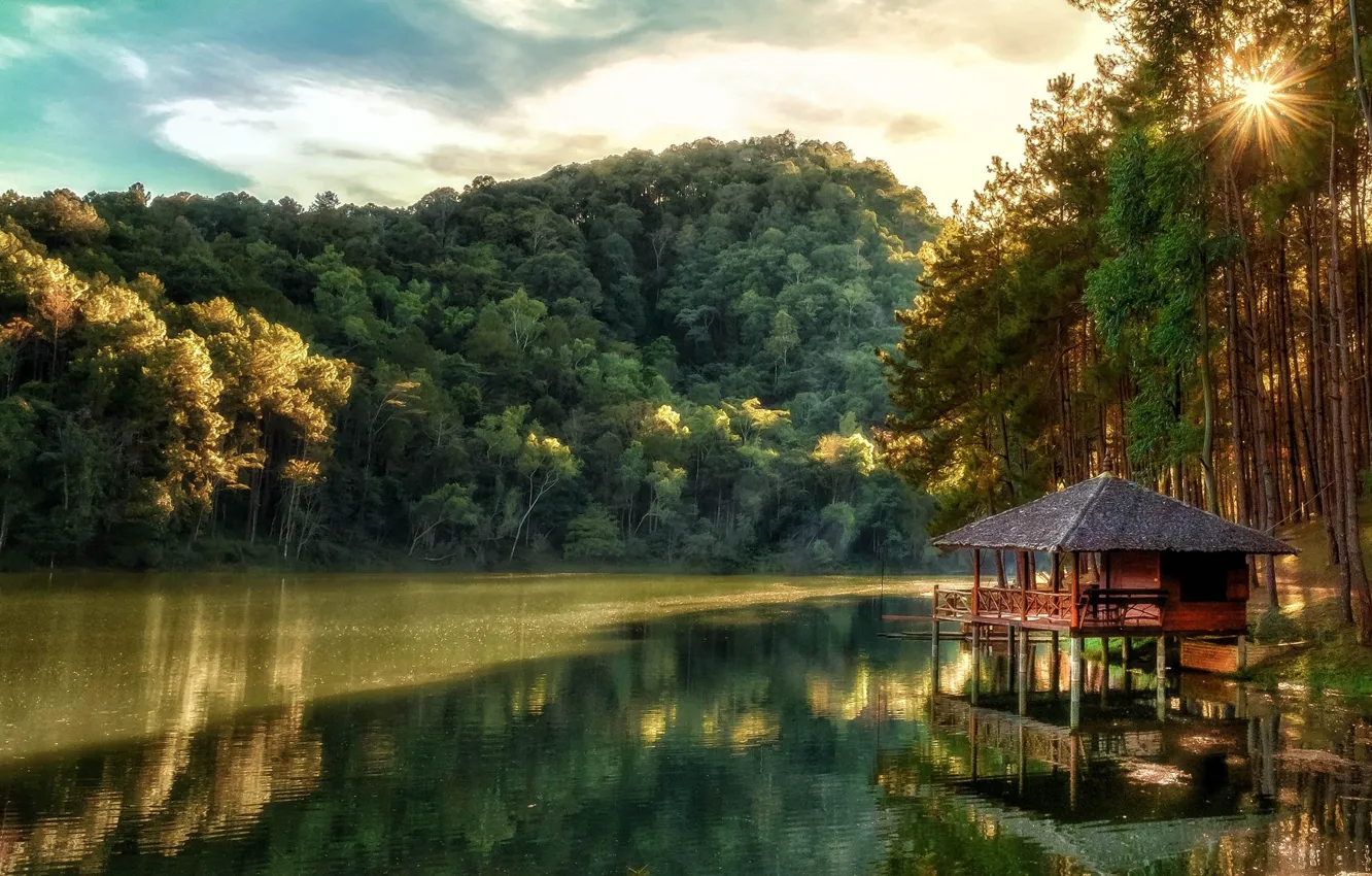 Photo wallpaper forest, trees, lake, house