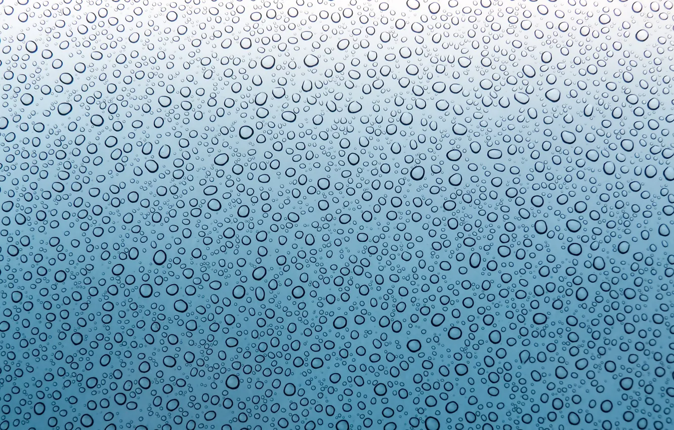 Photo wallpaper glass, drops, macro, window