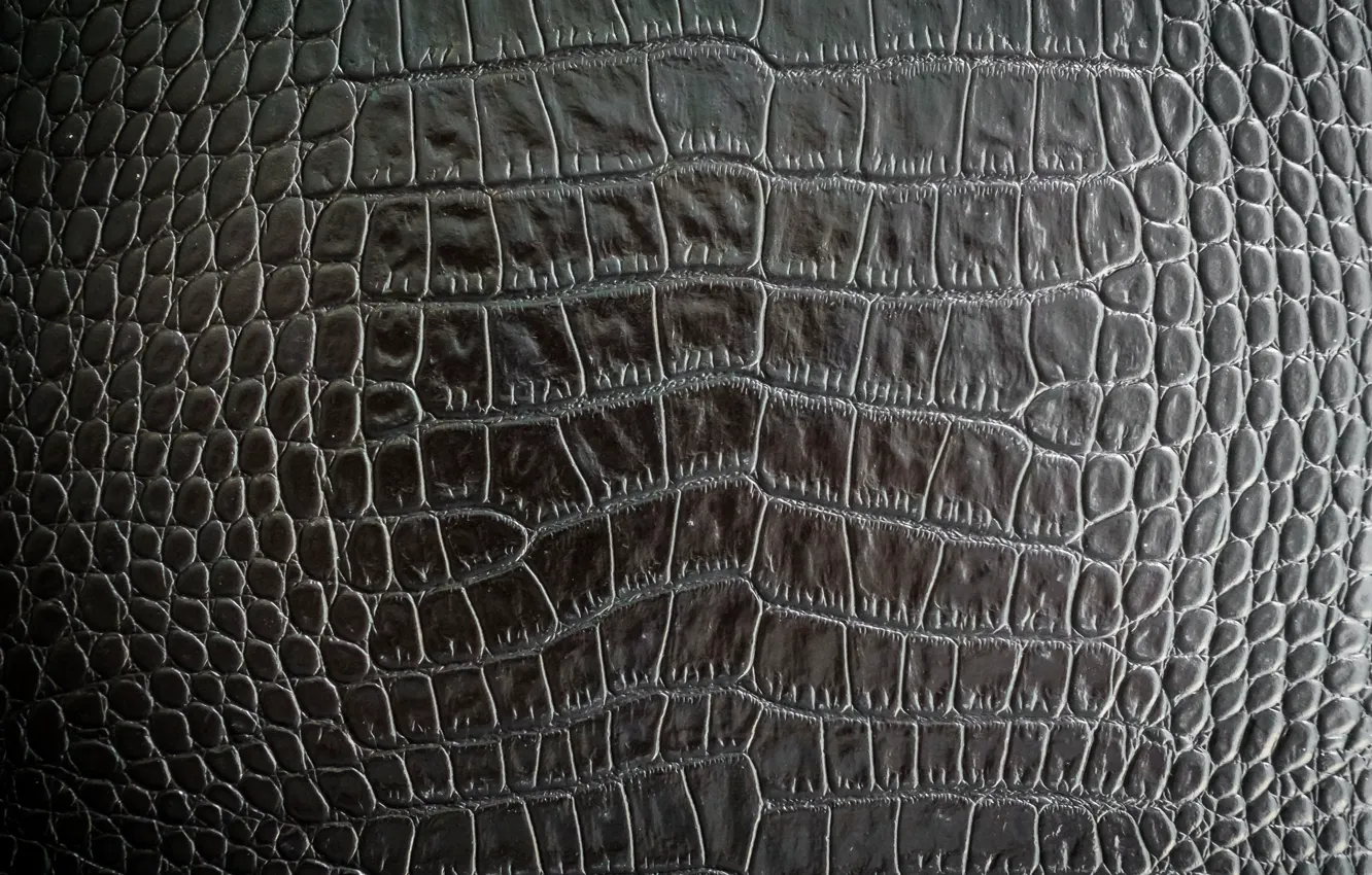 Photo wallpaper surface, black, Shine, texture, leather, black color, relief, the bulge