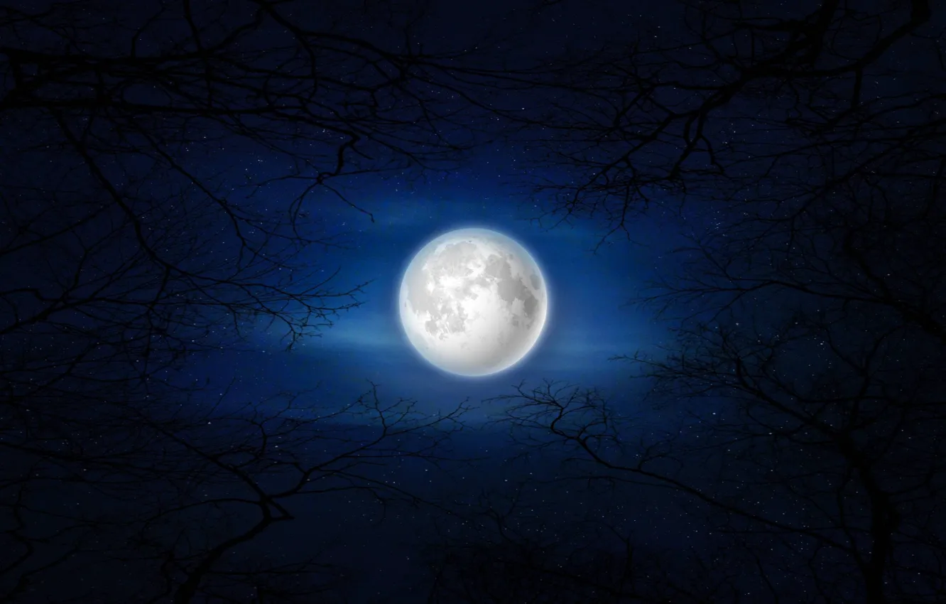 Wallpaper deep blue, moon, trees, night for mobile and desktop, section ...