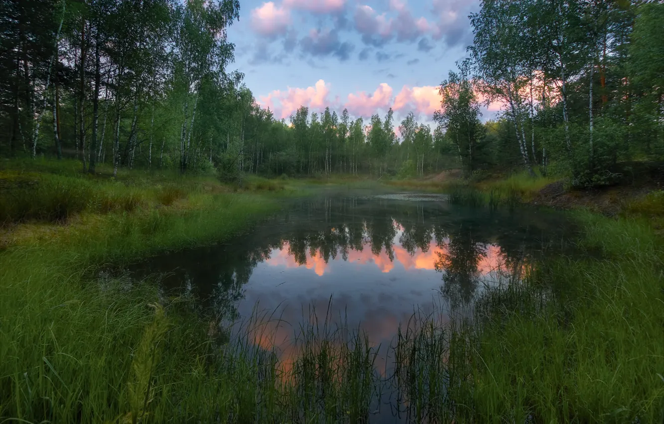 Photo wallpaper forest, trees, landscape, nature, lake, dawn, morning, Alexey Bagaryakov