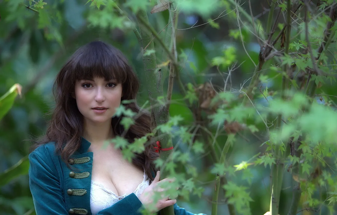 Photo wallpaper nature, background, "