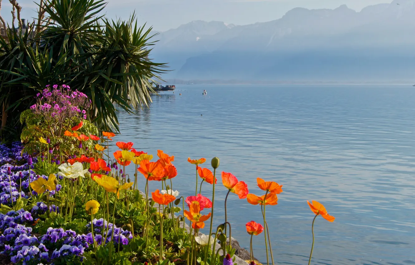 Photo wallpaper the sky, flowers, mountains, lake