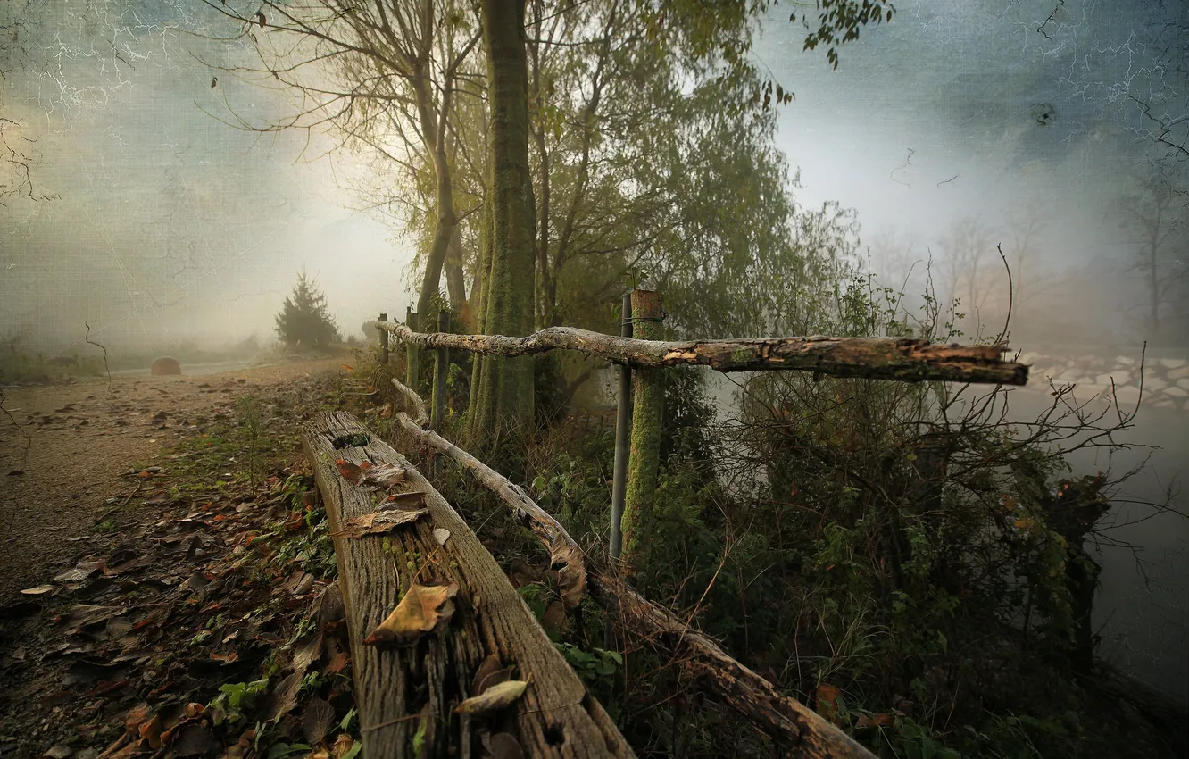 Photo wallpaper autumn, nature, fog