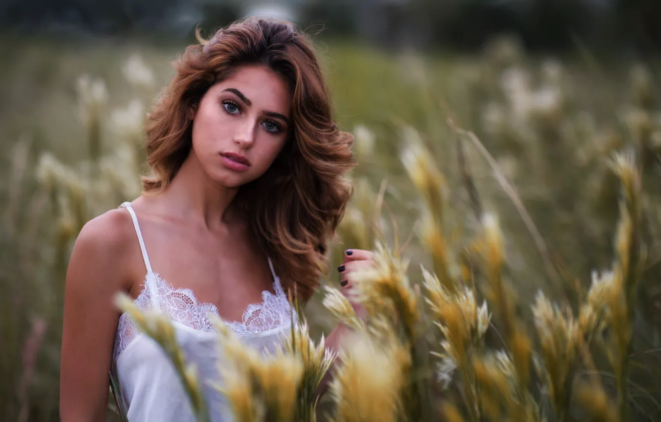 Photo wallpaper field, grass, girl, portrait, makeup, hairstyle, brown hair, in white