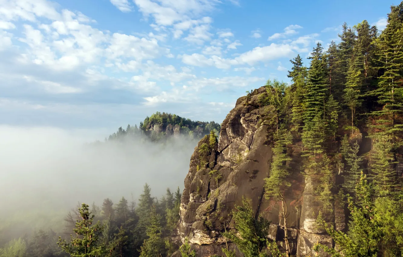 Photo wallpaper mountains, fog, morning