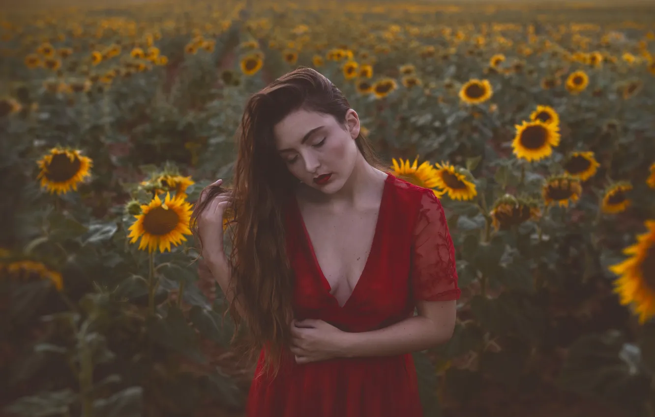 Photo wallpaper field, girl, sunflowers, mood, red dress, long hair, Isabella Phillips