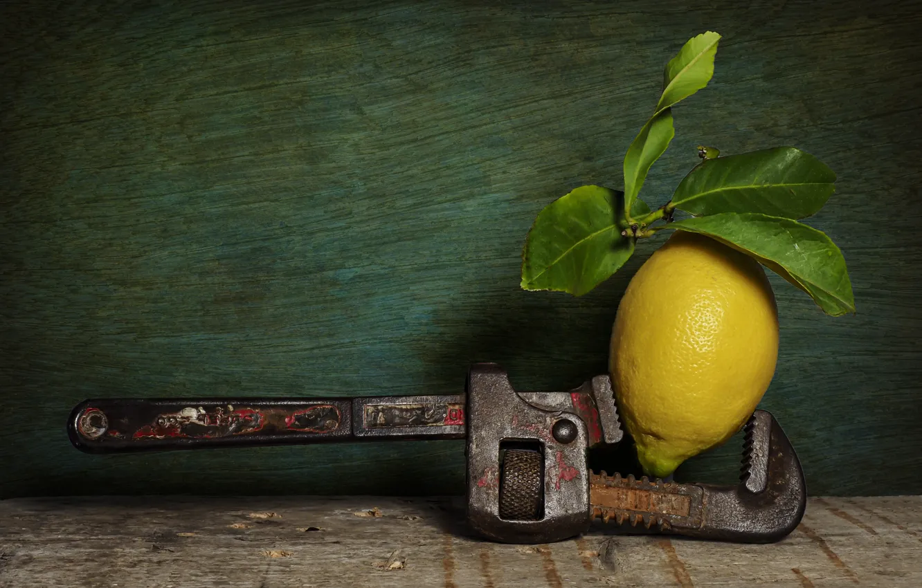 Photo wallpaper lemon, tool, green background, adjustable wrench